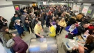 Crowds gather in Hagersville as tickets go on sale for the 'Catch the Ace' draw. (Terry Kelly/CTV News Kitchener)