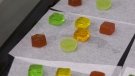 Local woman starting gummy business