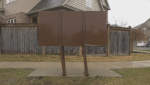A damaged community mail box in Kitchener. (Ricardo Veneza/CTV News Kitchener)