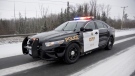 Ontario Provincial Police cruiser is pictured in this undated photo. (OPP/Twitter)
