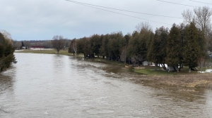 The Grand River in West Montrose on April 1, 2023. (Brandon Guitar - CTV Kitchener)