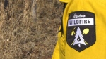 An Alberta Wildfire firefighter is seen in this file photo (CTV News Edmonton/Amanda Anderson).