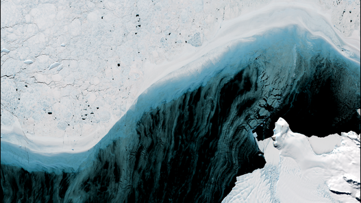 antarctic ice