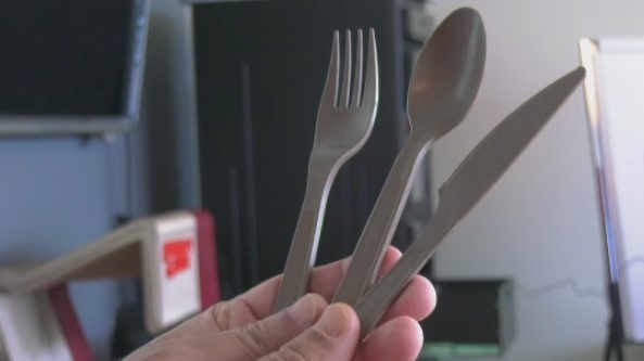 University of Guelph Ecosys Cutlery eco-friendly