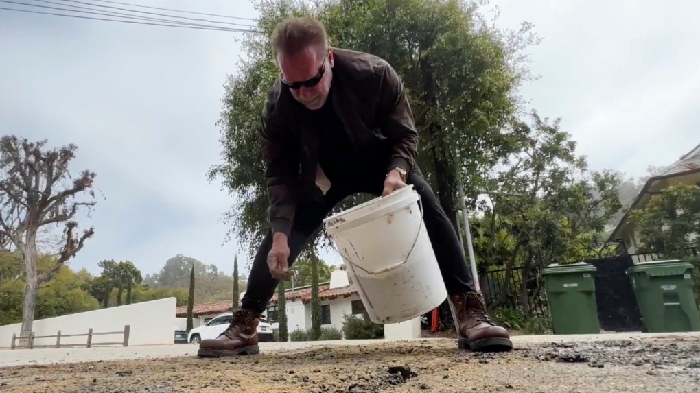 Schwarzenegger filling a pothole