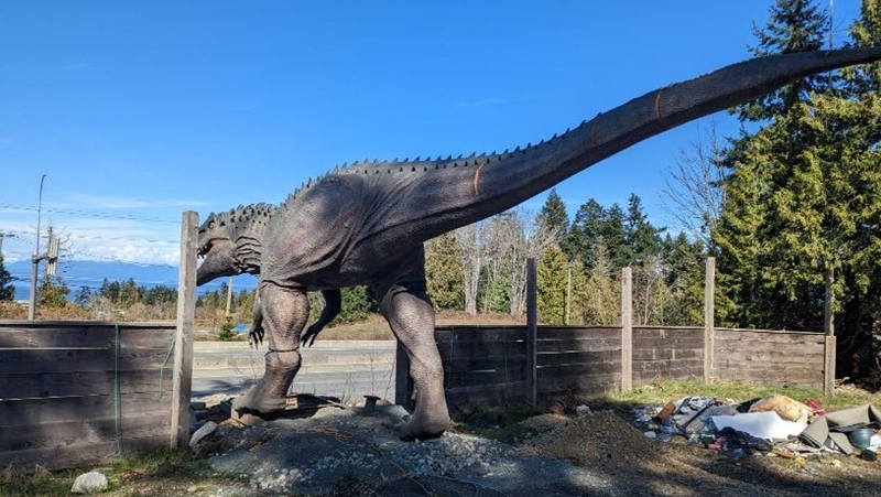 Vancouver Island Property Selling Off Life-Sized Animatronic Dinosaurs |  Ctv News