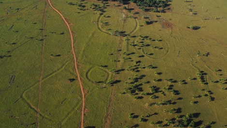 unbiased news source, Lost Cities of the Amazon Discovered From the Air, News Without Politics