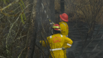Firefighters battle a brush fire in this undated file photo.