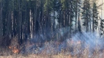 A wildfire is seen in a file photo. (Dave Mitchell/CTV News Edmonton)