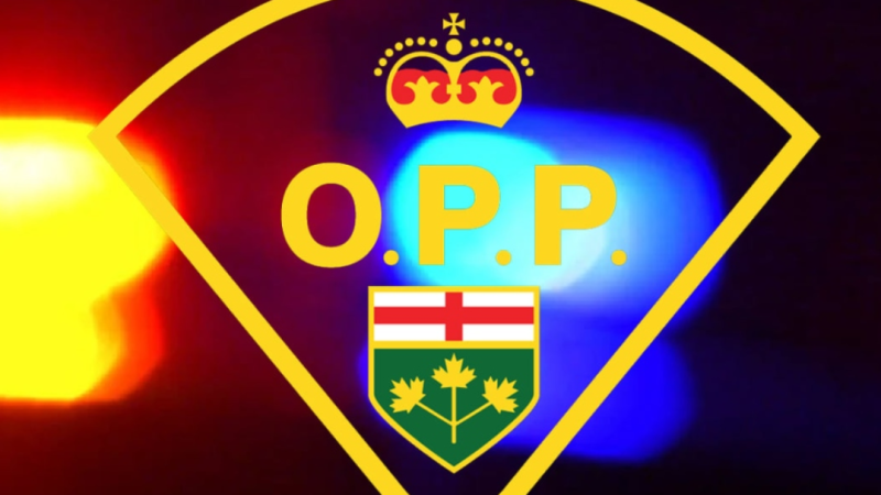 Ontario Provincial Police have charged two people following reports of hitchhikers displaying aggressive behaviour along the Highway 17 East corridor in Kenora. (File)
