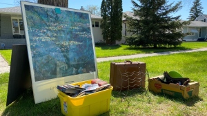 Boxes of clothes, furniture, pet accessories, and pieces of art were among the items being given away on Winnipeg curbsides over the last Spring Giveaway weekend. (Source: Zach Kitchen CTV News)