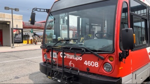 OC Transpo is reviewing all bus routes in the system. The service will be hosting public consultations to hear from riders in May and June. (Leah Larocque/CTV News Ottawa)