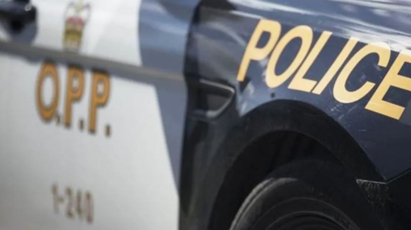 Ontario Provincial Police cruiser - file image. (Supplied)