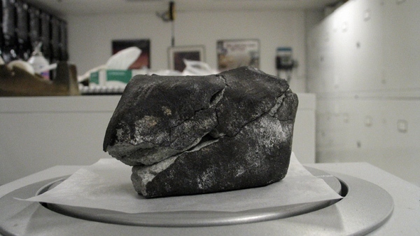 A meteorite the size of a tennis ball is seen in a lab, in Washington, in this Jan. 21, 2010 photo released by the Smithsonian Institution�s National Museum of Natural History. (AP, Smithsonian Institution�s National Museum of Natural History / Chip Clark)