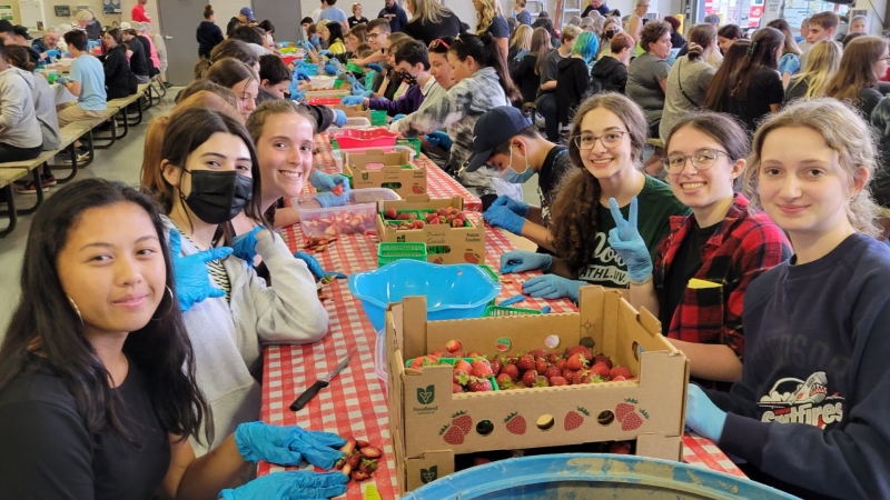Volunteers cleaning strawberries for the 2022 LaSalle Strawberry Festival. (Source: Facebook)
