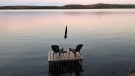 Muskoka chairs sit on a dock looking over Boshkung Lake in Algonquin Highlands. THE CANADIAN PRESS/Giordano Ciampini
