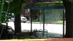 The glass of the bus shelter was shattered from the crash. (CTV News)