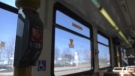 The interior of a Halifax Transit bus is seen in this photo. (Sarah Plowman/CTV Atlantic)