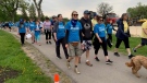 Participants walked a predetermined route through the park beginning at 10 a.m. Crawford said the money raised is fundamental to the programming they offer throughout the year. (Source: Gary Robson, CTV News)