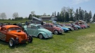 Air-cooled Volkswagens on display at a show in St. Jacobs. (Karis Mapp/CTV Kitchener) (May 28, 2023)