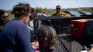 Members of the Department of Natural Resources and volunteers from a pet service care for a pig named Peppa that they rescued from the evacuated zone of the wildfire burning in Tantallon, N.S., outside of Halifax on Monday, May 29, 2023. THE CANADIAN PRESS/Darren Calabrese