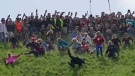Participants compete in the women's downhill race during the Cheese Rolling contest at Cooper's Hill in Brockworth, Gloucestershire, Monday May 29, 2023. (AP Photo/Kin Cheung)