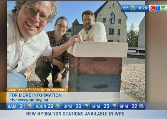 The state of bees in Manitoba 