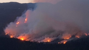 There are currently no evacuation orders in place for Sayward, which lies approximately five kilometres east of the Newcastle Creek fire. (Megan Mathiason)