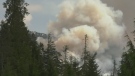 The Newcastle Creek wildfire burning near Sayward, B.C.