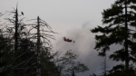 A water bomber plane flies through heavy smoke as an out-of-control wildfire in a suburban community outside of Halifax quickly spread, engulfing multiple homes and forcing the evacuation of local residents on Sunday May 28, 2023.THE CANADIAN PRESS/Darren Calabrese