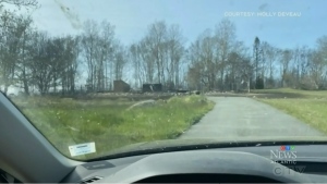 The charred land where Molly Deveau's home once stood is pictured on May 29, 2023. (Molly Deveau) 