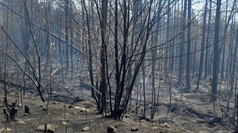 Wildfire continues to burn in Tantallon