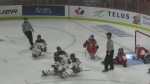 Team Canada undefeated at Para Ice Championships 
