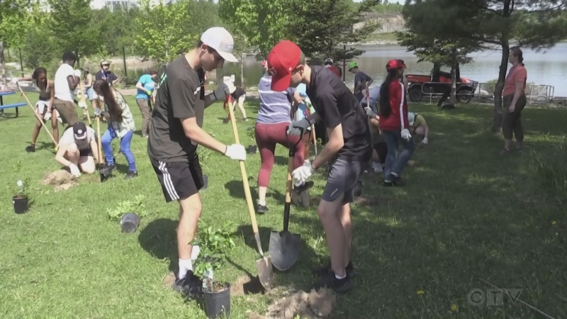 Sudbury high school students plant a food forest at Science North. May 31/23 (Alana Everson/CTV Northern Ontario)