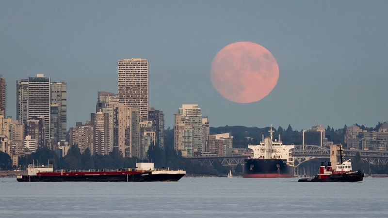 A nearly full moon rises behind condo towers in the downtown skyline as a tugboat pulls a barge and a bulk carrier cargo ship sits at anchor on English Bay, in Vancouver, on Thursday, July 22, 2021. THE CANADIAN PRESS/Darryl Dyck