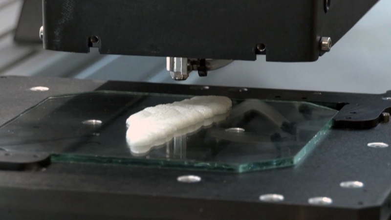 Israeli foodtech company Steakholder Foods says it has 3D printed the first ever ready-to-cook fish fillet.