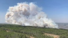 FILE - In this photo provided by the Government of Alberta Fire Service, a wildfire burns a section of forest in the Grande Prairie district of Alberta, Canada, Saturday, May 6, 2023. (Government of Alberta Fire Service/The Canadian Press via AP,File)