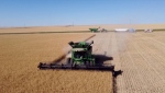 A stock photo of farming in southern Alberta. 