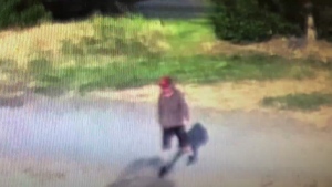 The suspect is pictured. (West Shore RCMP)