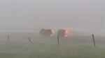 Hay bales on fire after lightning strike