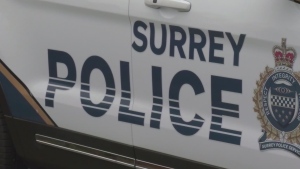 Surrey police saga continues