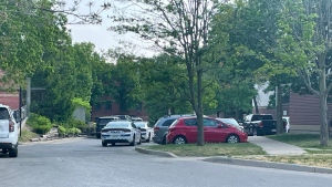London police are on the scene of an ongoing weapons investigation on Commissioners Road west. June 2, 2023. (Marek Sutherland/CTV News London)