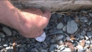 A silver coin is shown on a beach in the Nanaimo area. (CTV News)