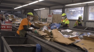 City says some not following recycling guidelines