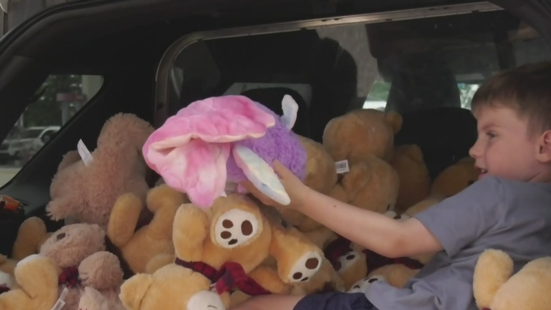 Teddy Bears Anonymous returns
