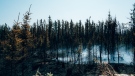 Smoke rises from burning trees near Chapais, in Northern Quebec, on Friday June 2, 2023 in this image provided by the fire prevention agency known as SOPFEU. THE CANADIAN PRESS/HO-SOPFEU Prevention and Communications-Audrey Marcoux