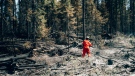 A fire fighter works near Chapais, in Northern Quebec, on Friday June 2, 2023 in this image provided by the fire prevention agency known as SOPFEU. THE CANADIAN PRESS/HO-SOPFEU Prevention and Communications-Audrey Marcoux