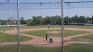 The Kitchener Panthers and Barrie Baycats face off on June 4. (Screenshot/YouTube)