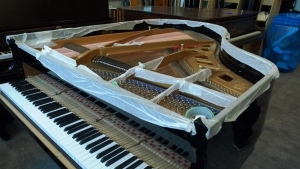 CTV National News: Piano brought back to life