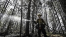 Department of Natural Resources and Renewables firefighter Kalen MacMullin of Sydney, N.S. works on a fire in Shelburne County, N.S. in a Thursday, June 1, 2023 handout photo. (THE CANADIAN PRESS/HO-Communications Nova Scotia)